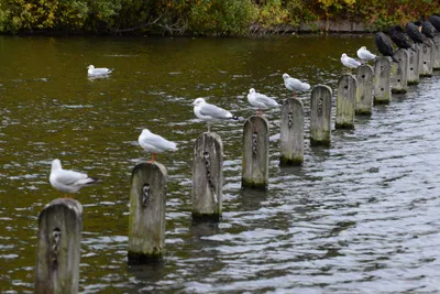 DSC_0537 (Large).JPG